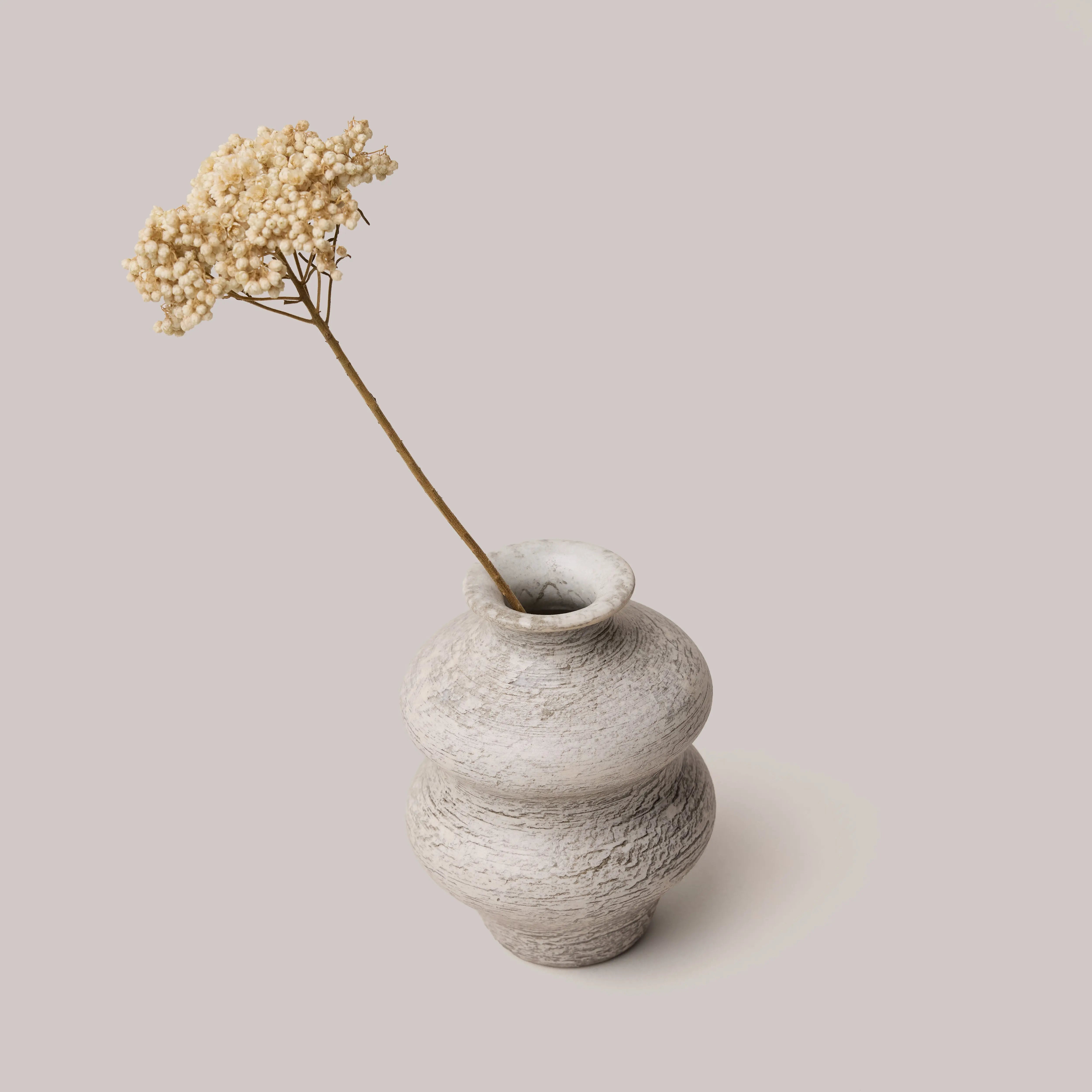 Kikuchi Toru Vase Hakujitu